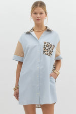 Leopard and Blue Stripe Dress